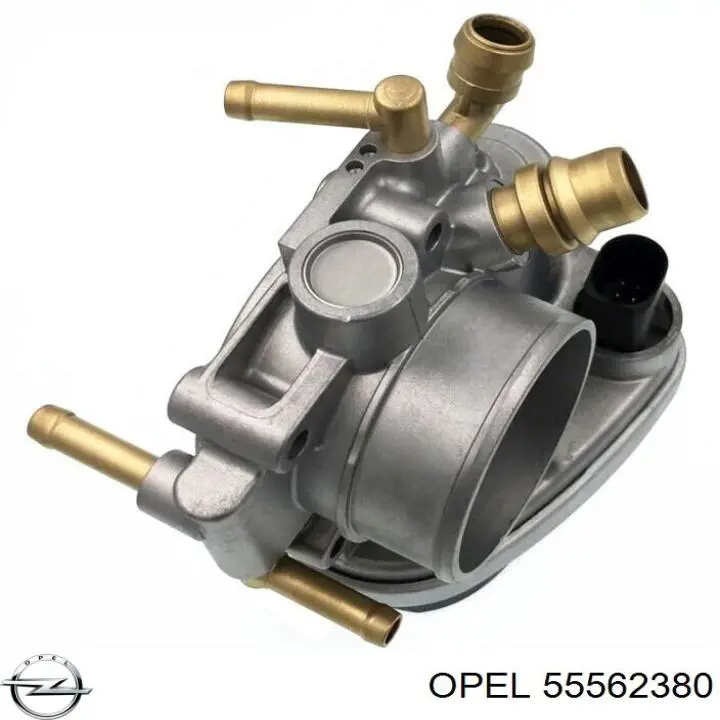 Купить 55562380 Opel Блок дроссельной заслонки