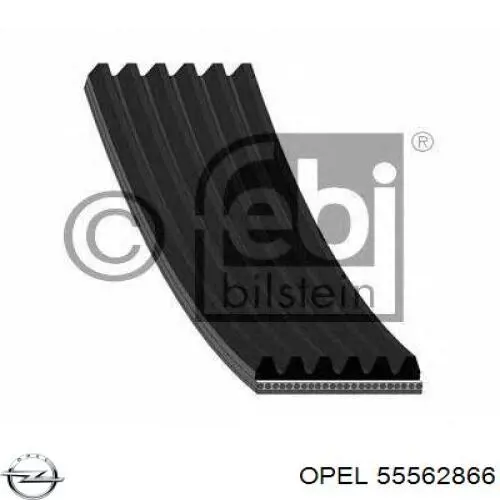 Клиновый ремень Opel 55562866 цена, от 17.17 USD