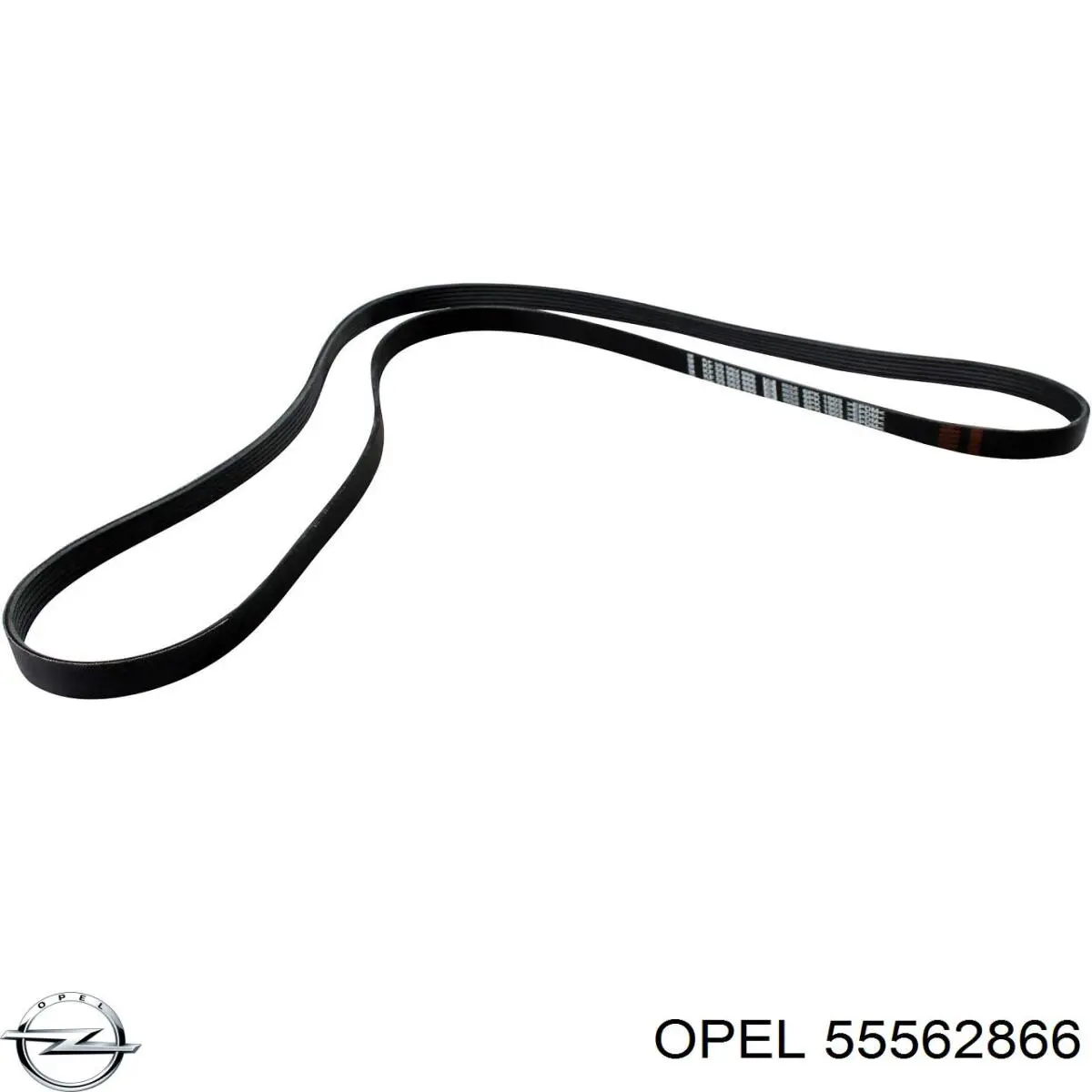 Купить 55562866 Opel Ремень генератора