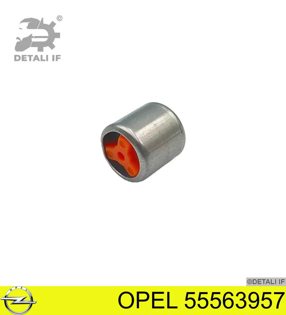 55563957 Opel válvula de limitação de pressão de óleo cbc