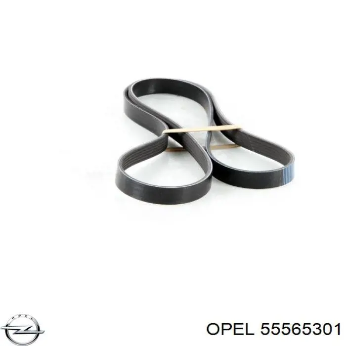 Ремень генератора 55565301 Opel