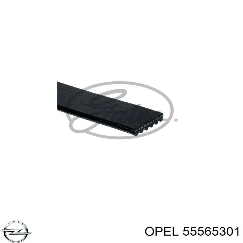 Ремень кондиционера Opel 55565301