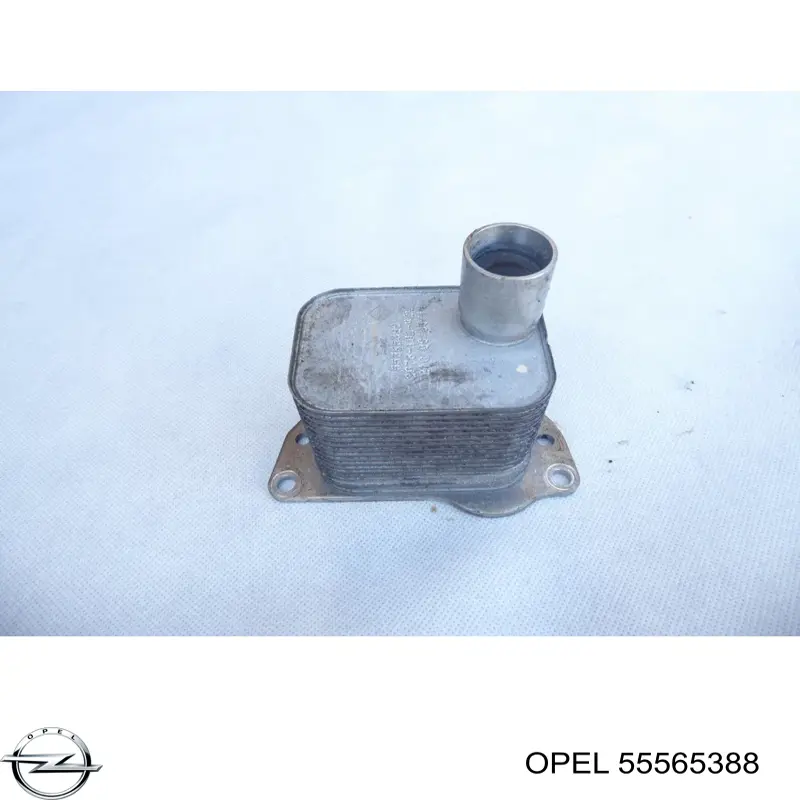 Радиатор масляный (холодильник), под фильтром Opel 55565388 цена, от 44.39 USD