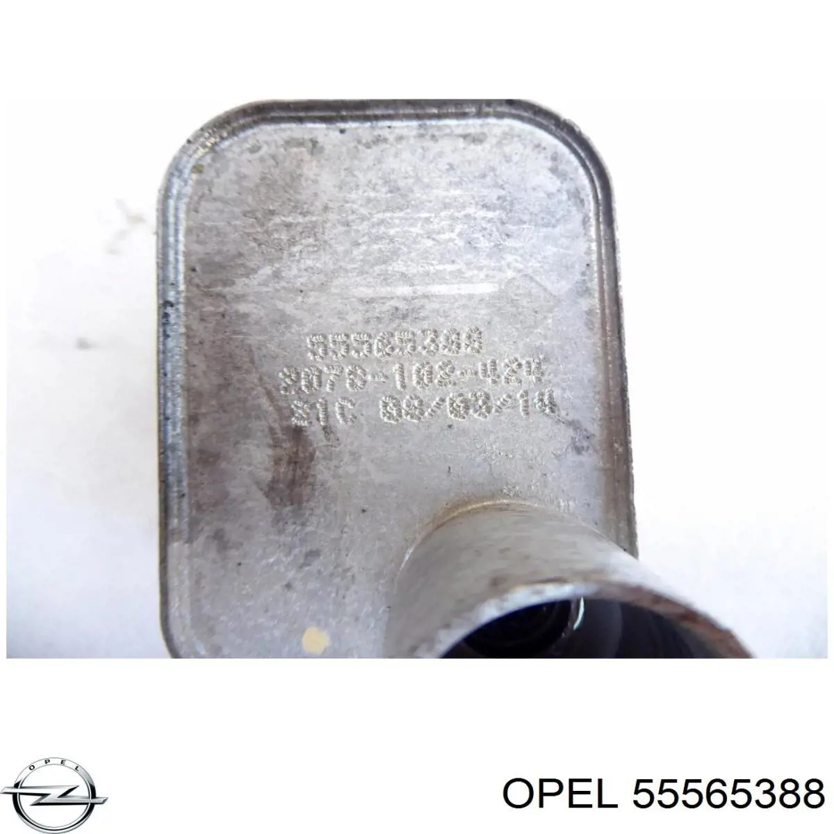Радиатор масляный (холодильник), под фильтром Opel 55565388 цена, от 44.39 USD