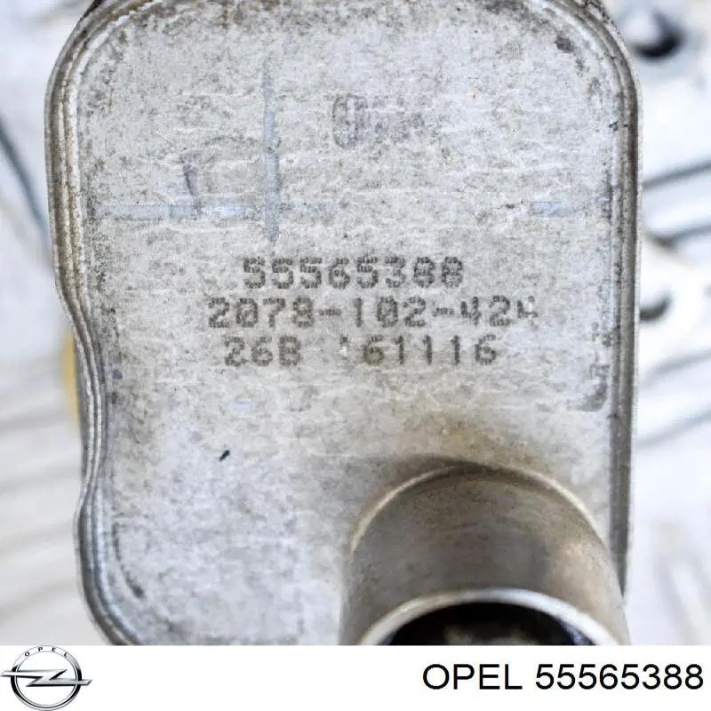 Радиатор масляный холодильник Opel 55565388