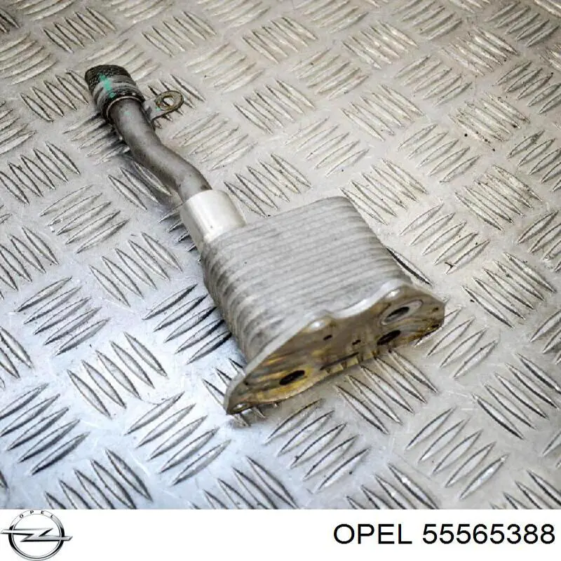 55565388 Opel Радиатор масляный (холодильник) под фильтром