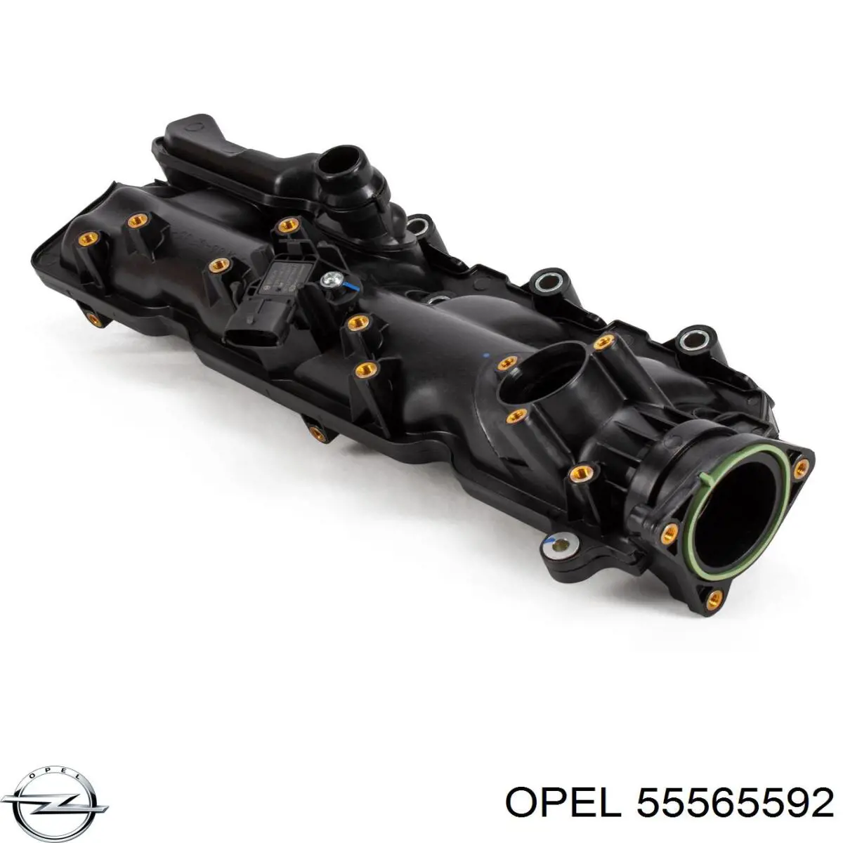 Впускной коллектор 55565592 Opel