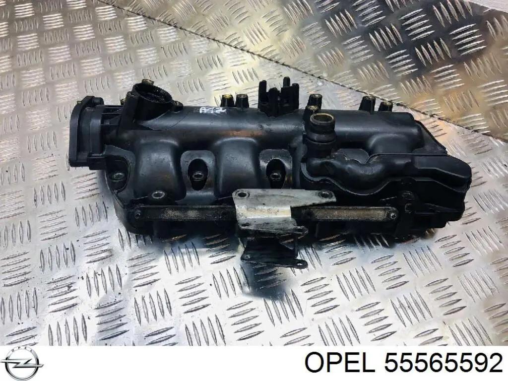 55565592 Opel Коллектор впускной