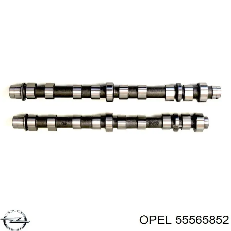 Compre 55565852 Opel Árvore distribuidora de motor