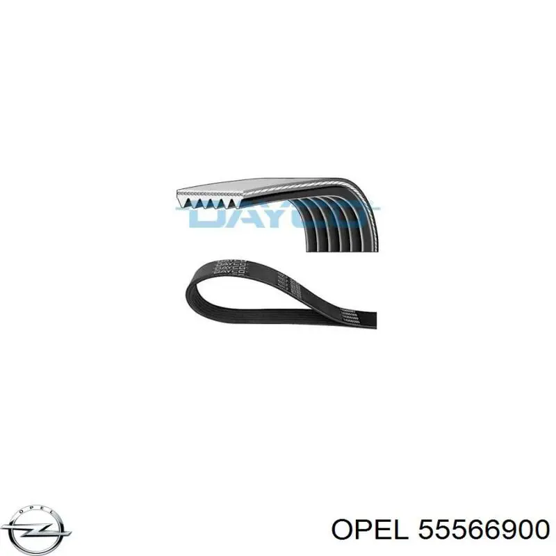 55566900 Opel Поликлиновый ремень