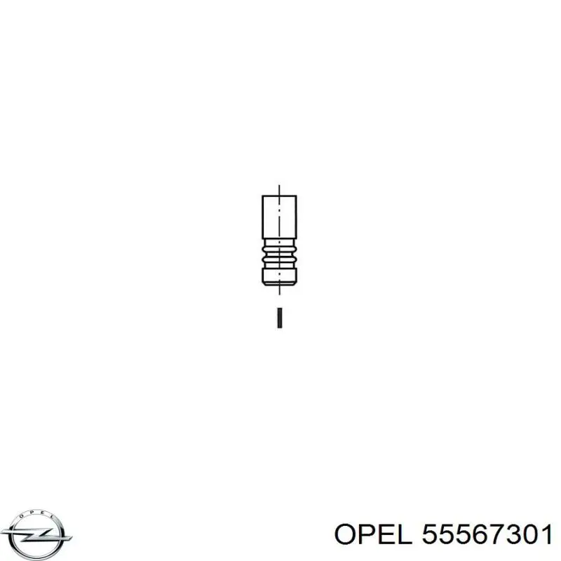 Выпускной клапан двигателя Freccia R6721 цена, от 13.98 USD