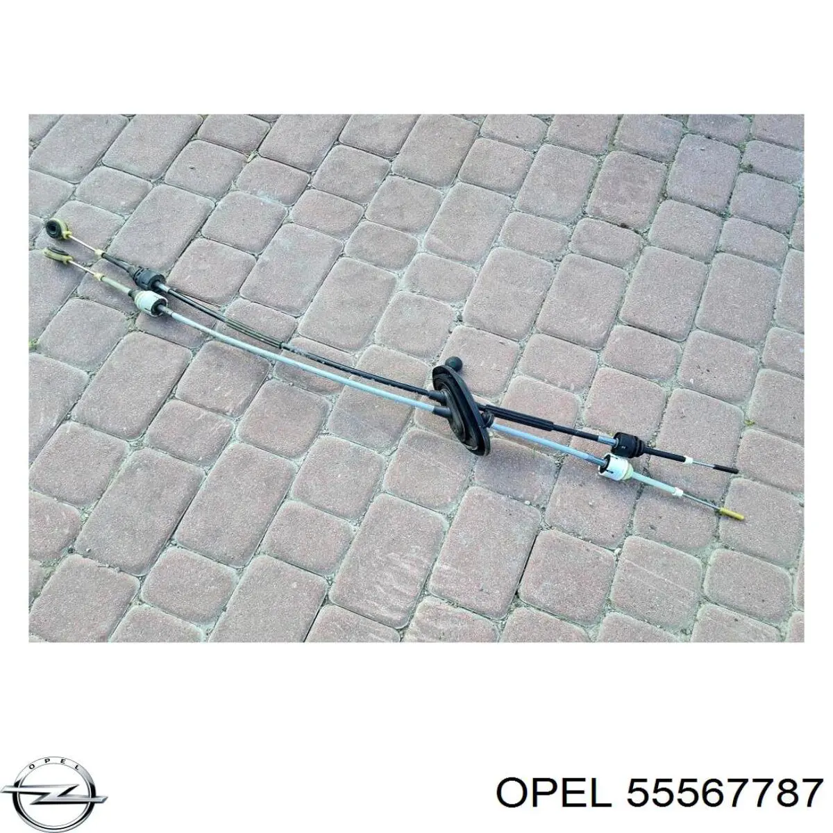  Opel 55567787 цена, от 15.20 USD