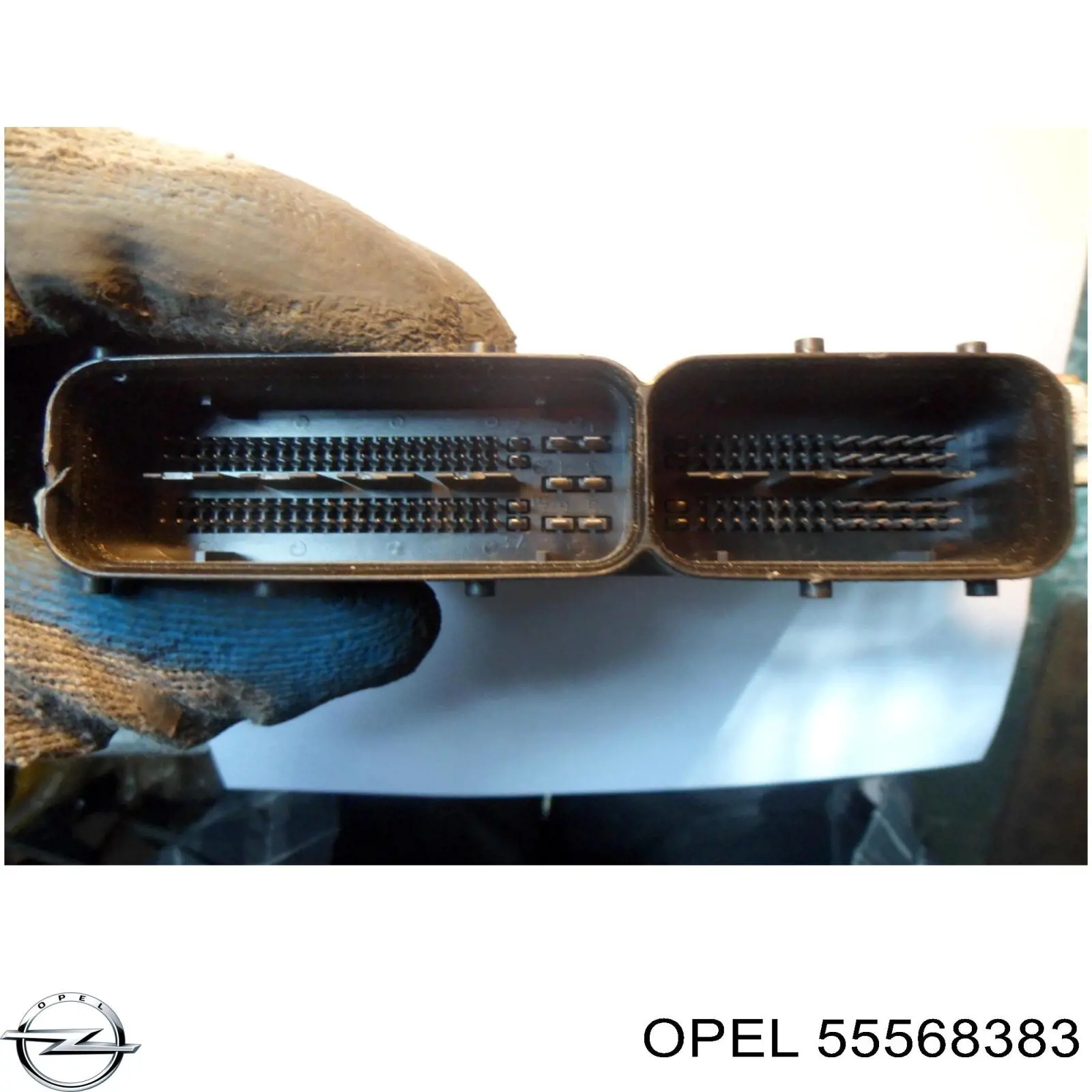 Купить 55568383 Opel 