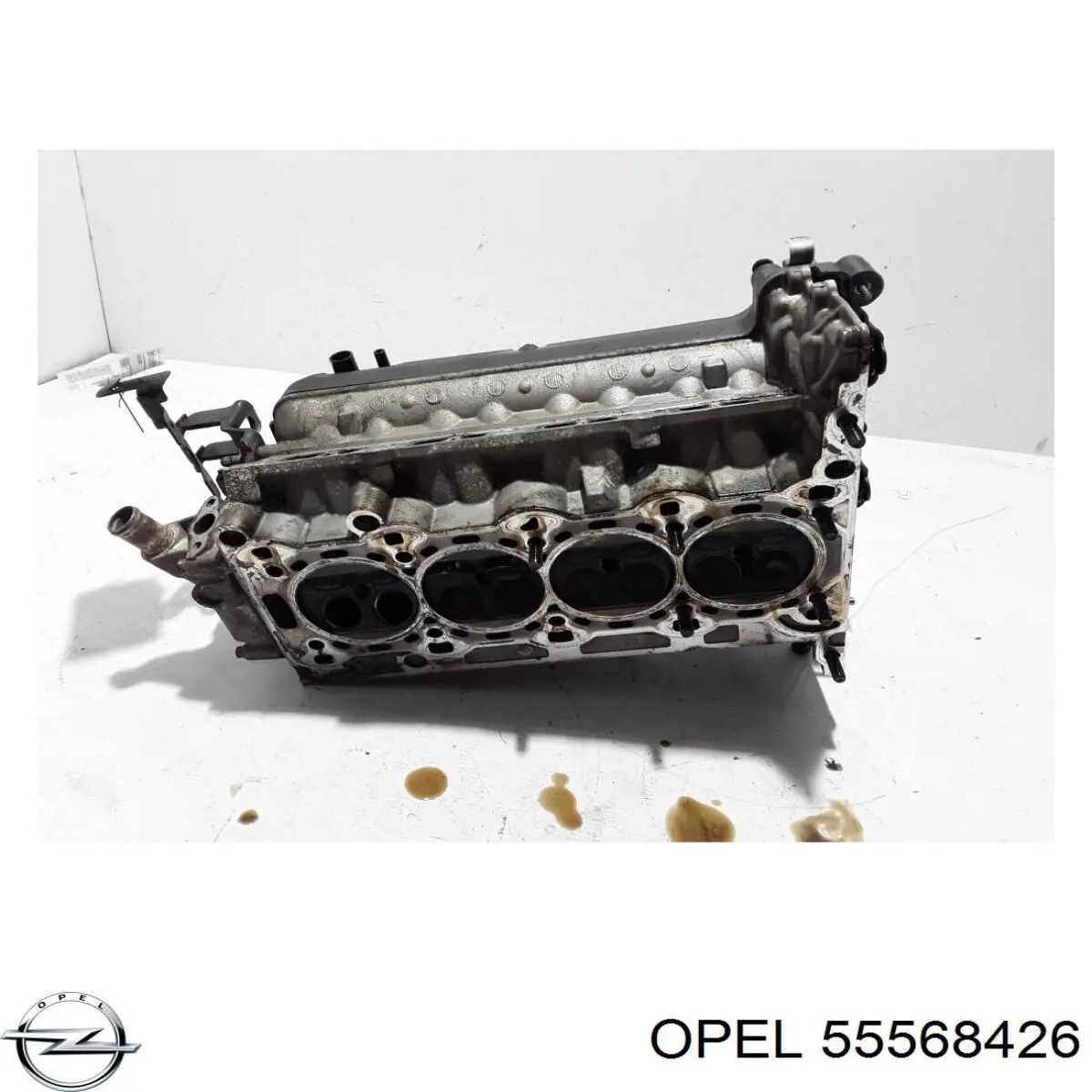55568426 Opel 