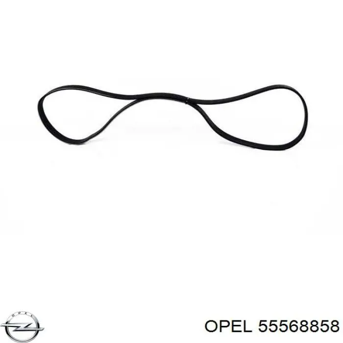 55568858 Opel Поликлиновый ремень