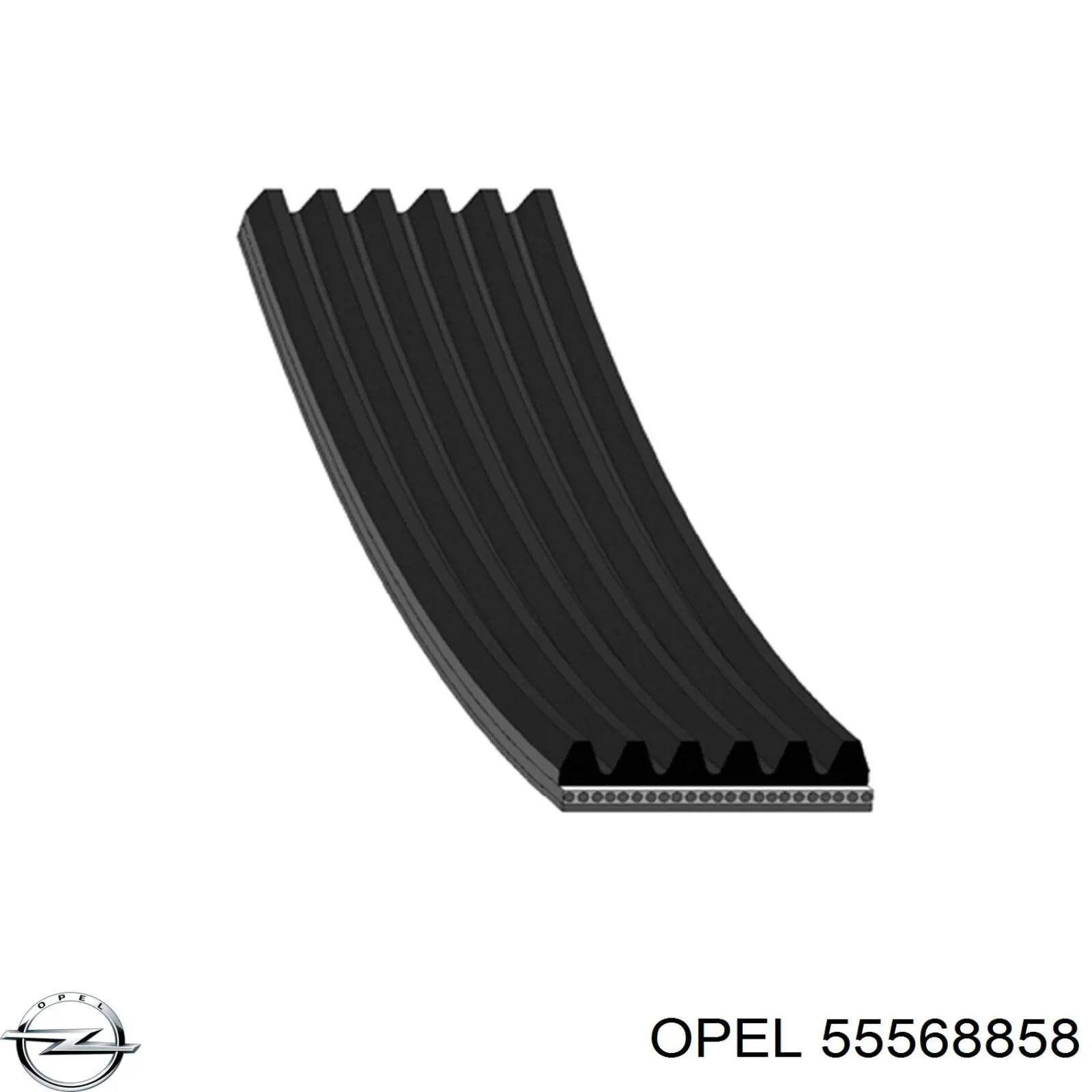 Клиновый ремень Opel 55568858 цена, от 13.27 USD