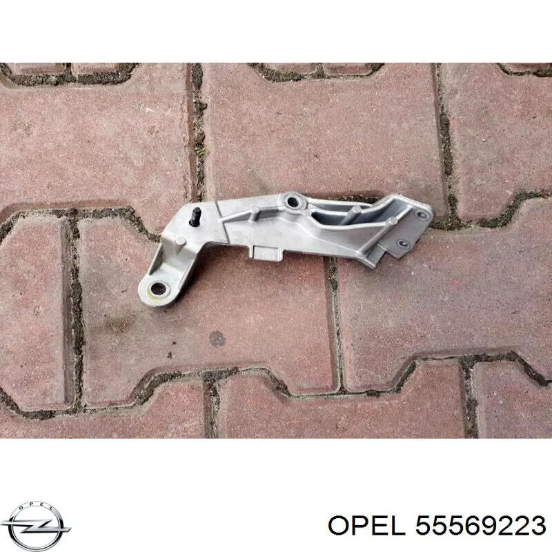Трубка (шланг) подачи масла к турбине Opel 55569223 цена, от 43.80 USD