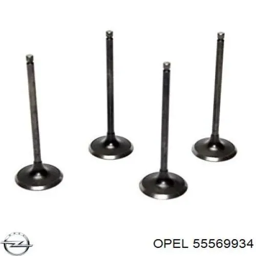 Клапан впускной Opel 55569934 цена, от 2.76 USD