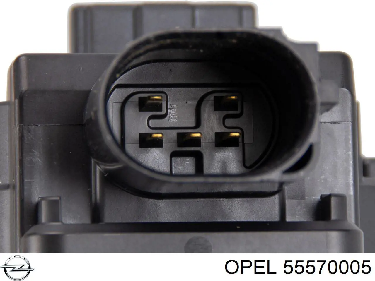 Клапан EGR, рециркуляции газов Opel 55570005