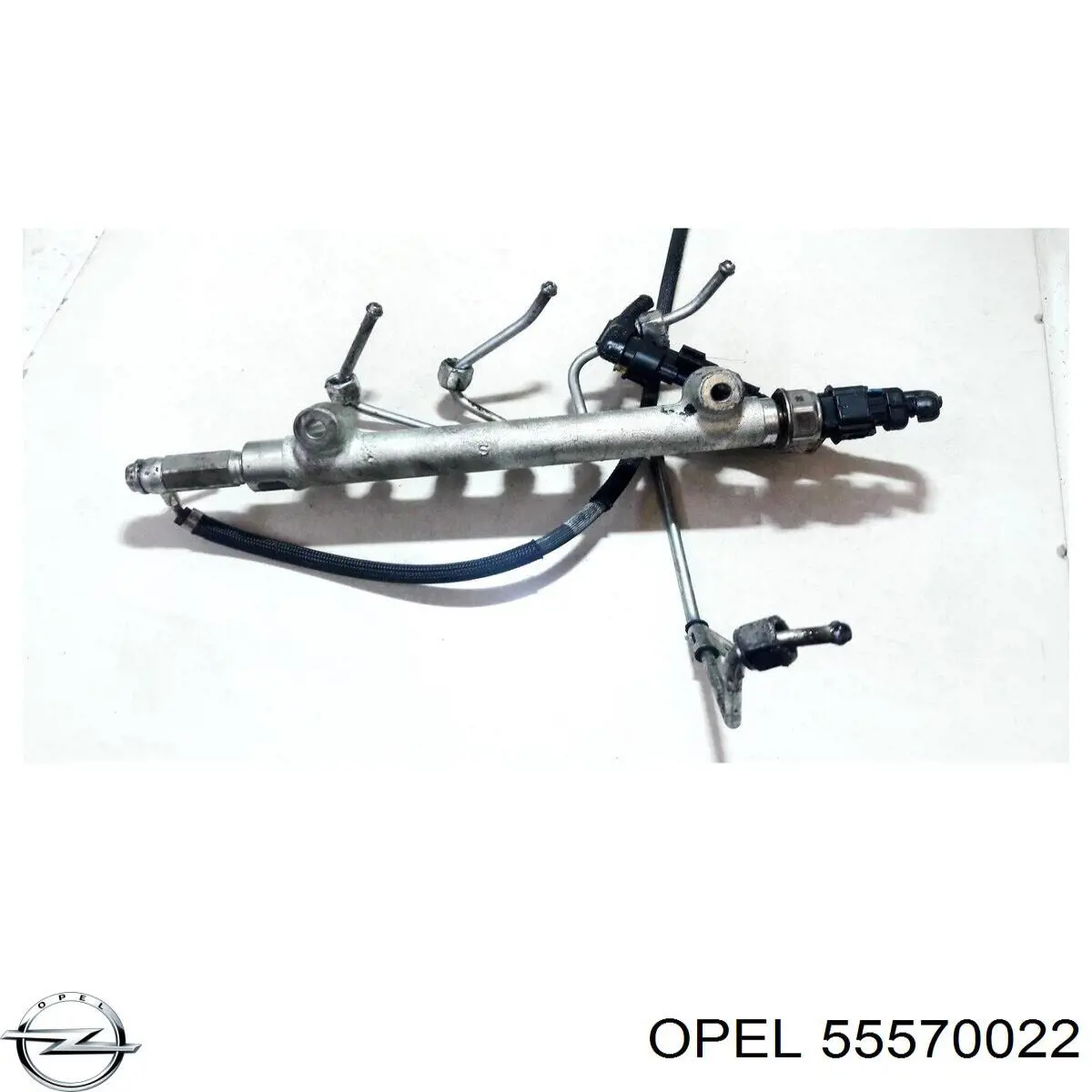 55570022 Opel 