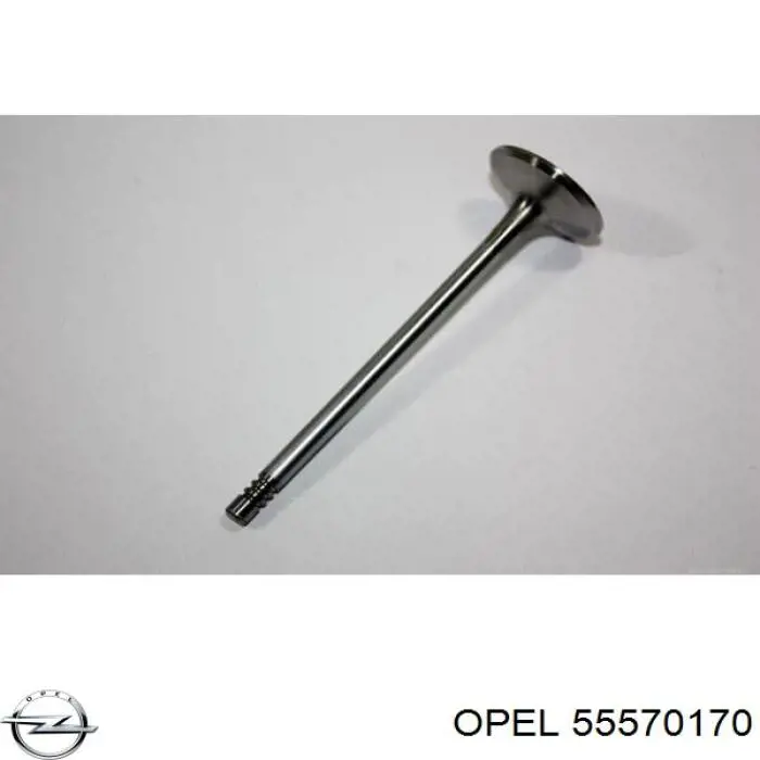 55570170 Opel клапан впускной