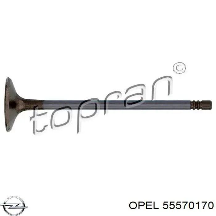 Купить 55570170 Opel Впускной клапан