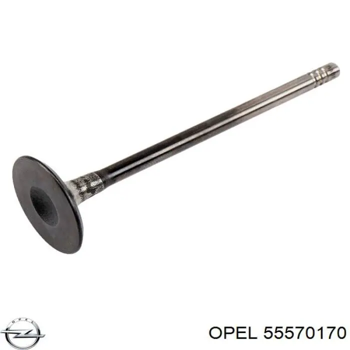 Клапан впускной Opel 55570170 цена, от 6.18 USD