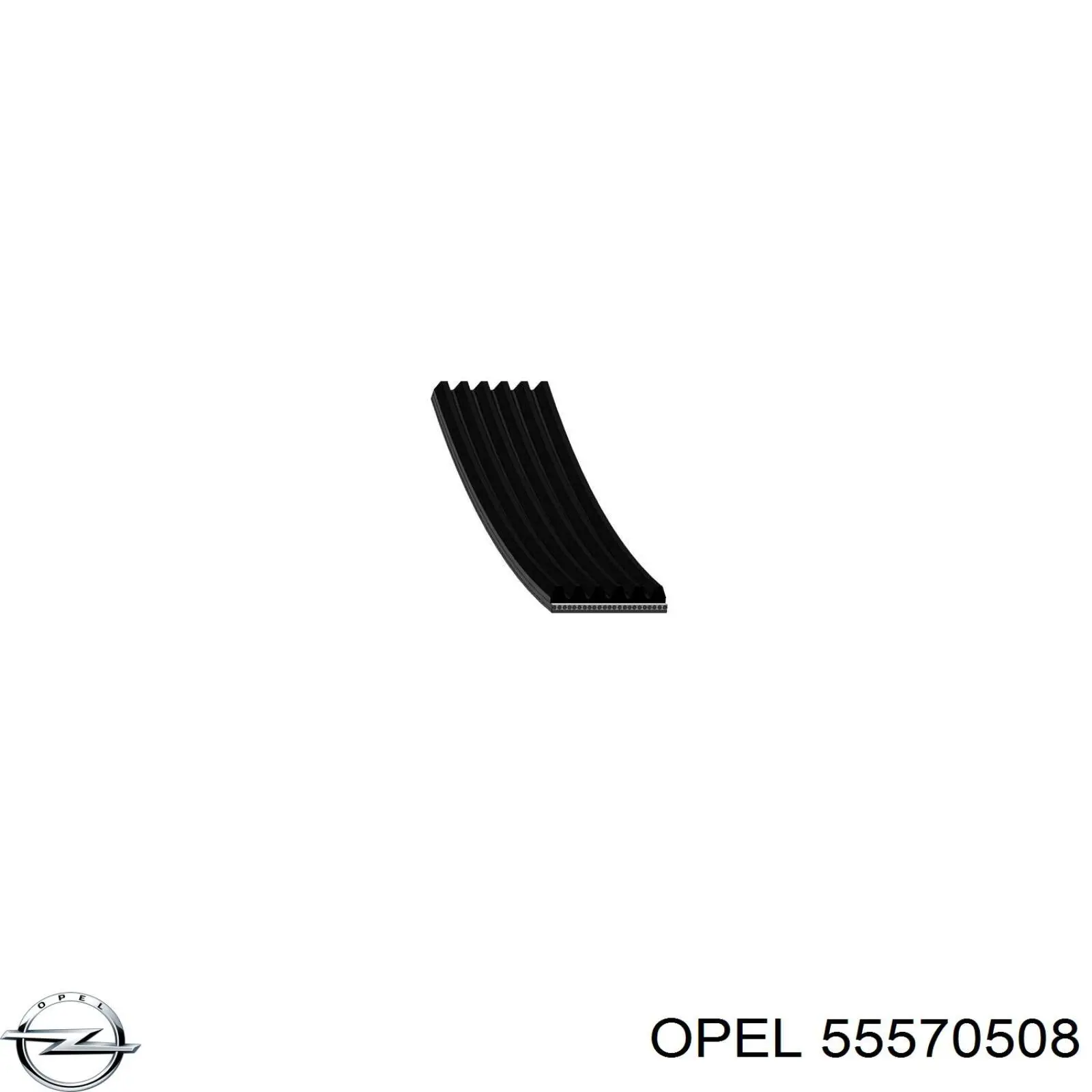 Купить 55570508 Opel Ремень генератора