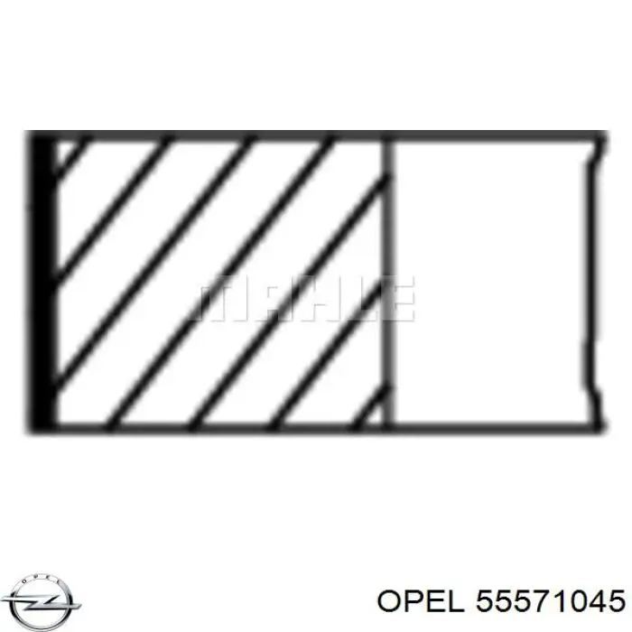 55571045 Opel pistão do kit para 1 cilindro, std