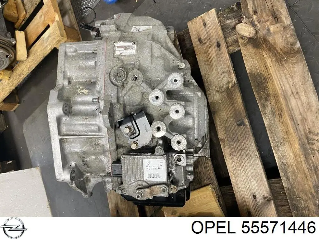 55571446 Opel 