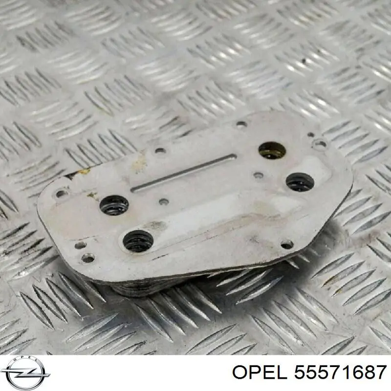 55571687 Opel радиатор масляный