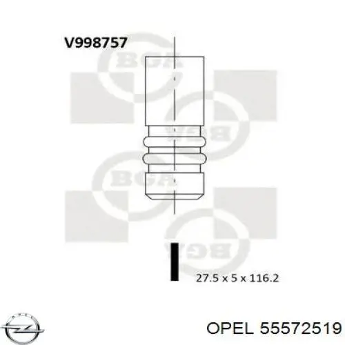 55572519 Opel Выхлопной клапан