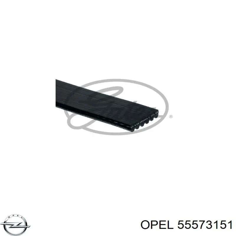 Купить 55573151 Opel Ремень генератора