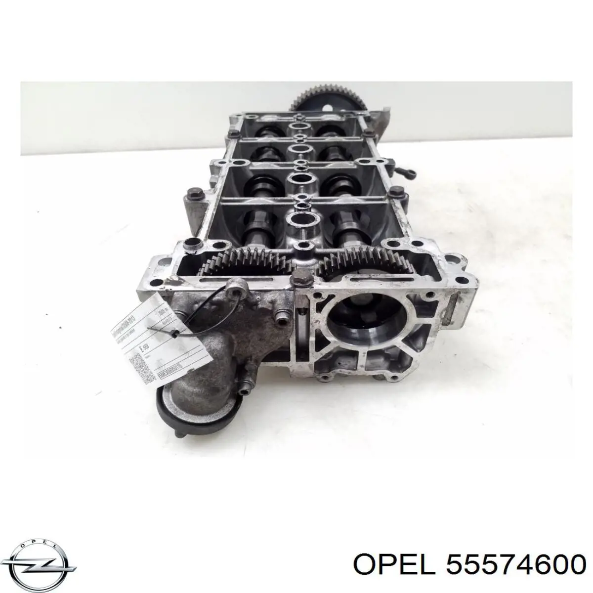 55574600 Opel 