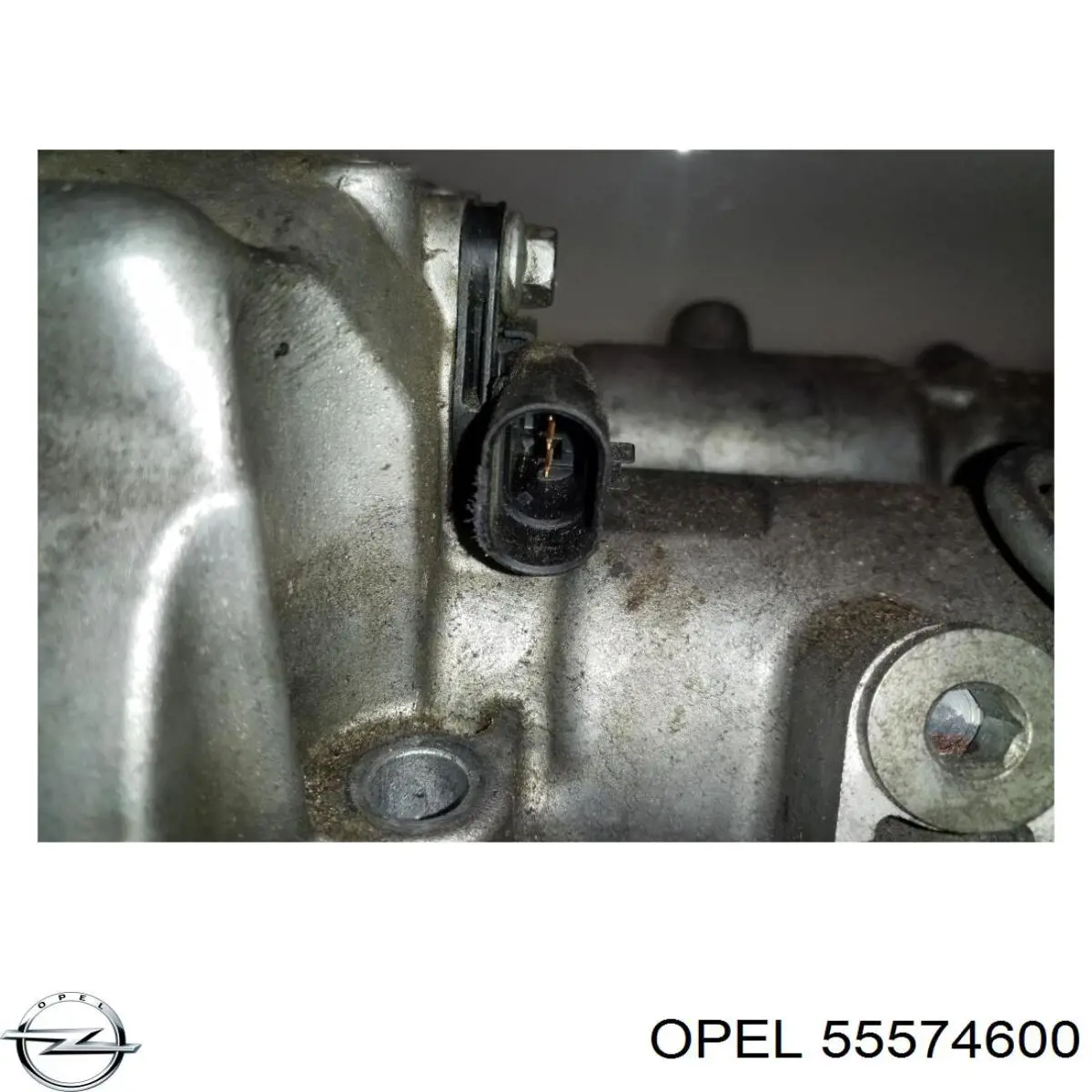 Купить 55574600 Opel 
