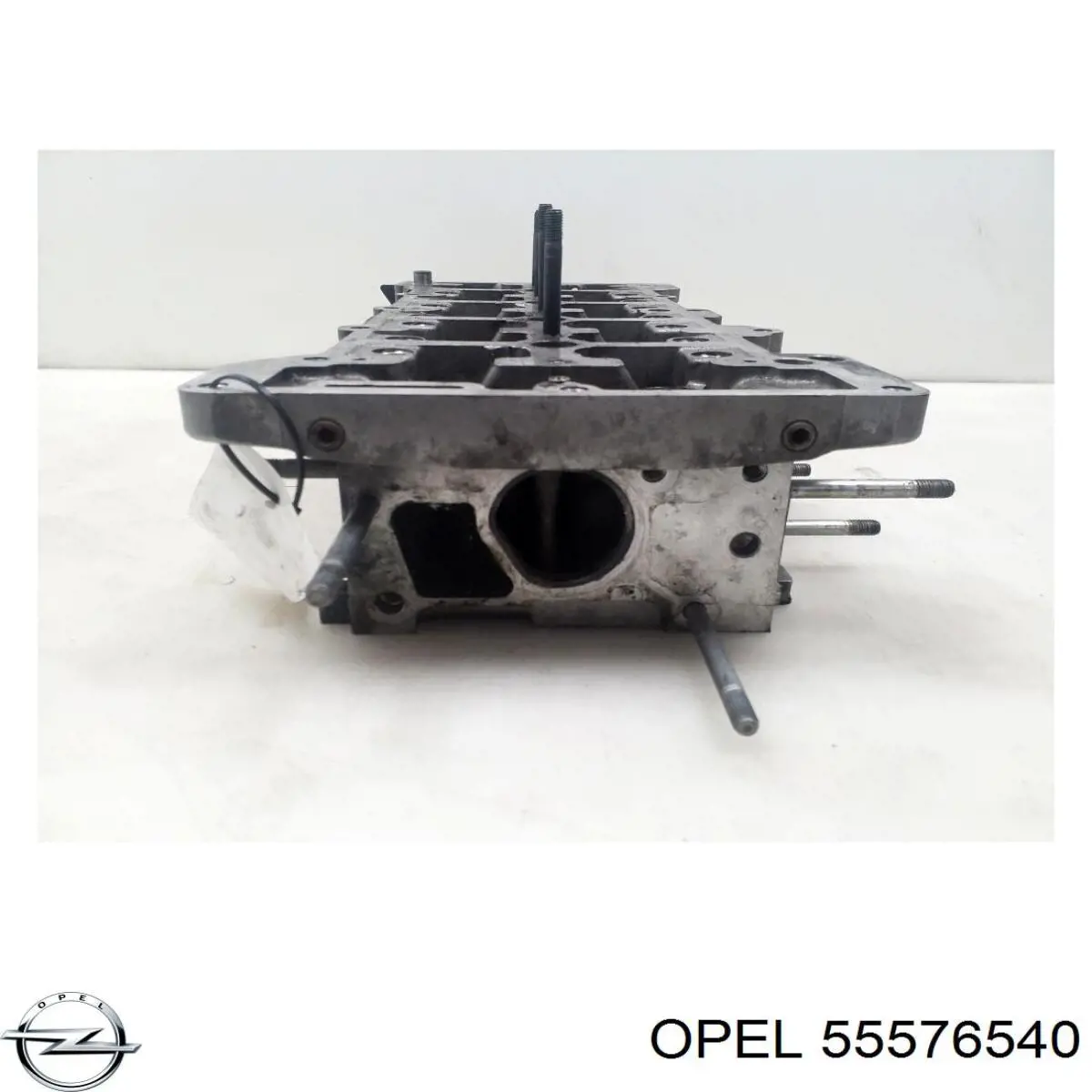 Купить 55576540 Opel 