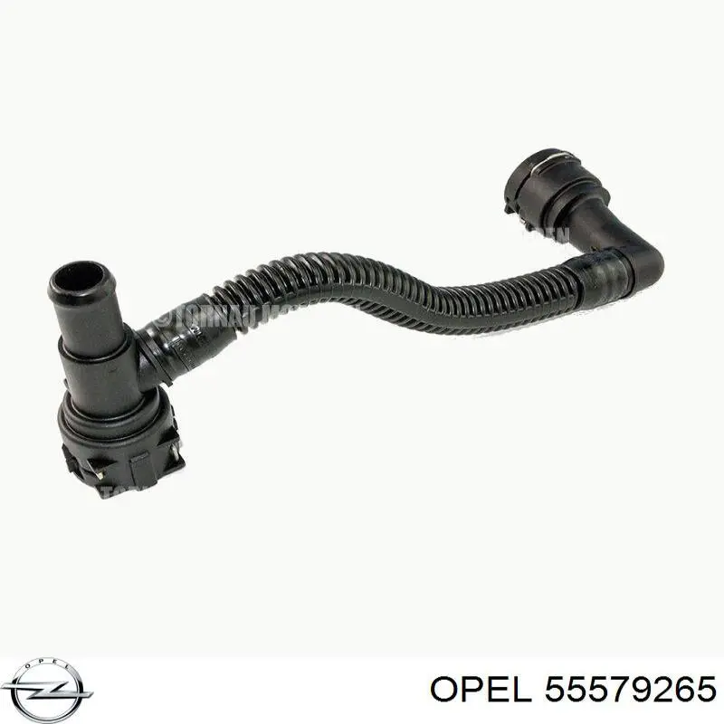 55579265 Opel mangueira (cano derivado de esfriamento de trocador de calor de óleo, linha de combustível de retorno)