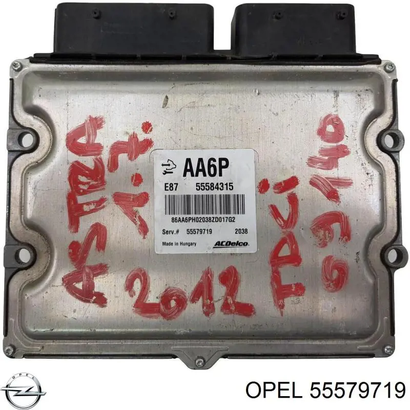 55579719 Opel Мозги двигателя