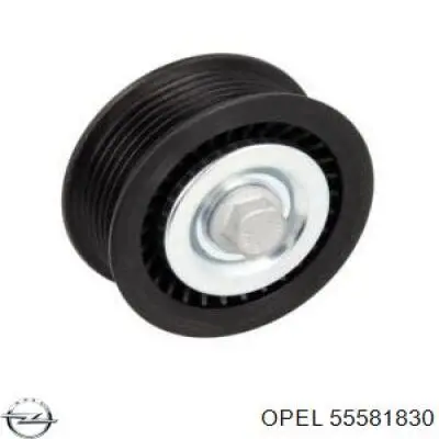 Купить 55581830 Opel Паразитный ролик