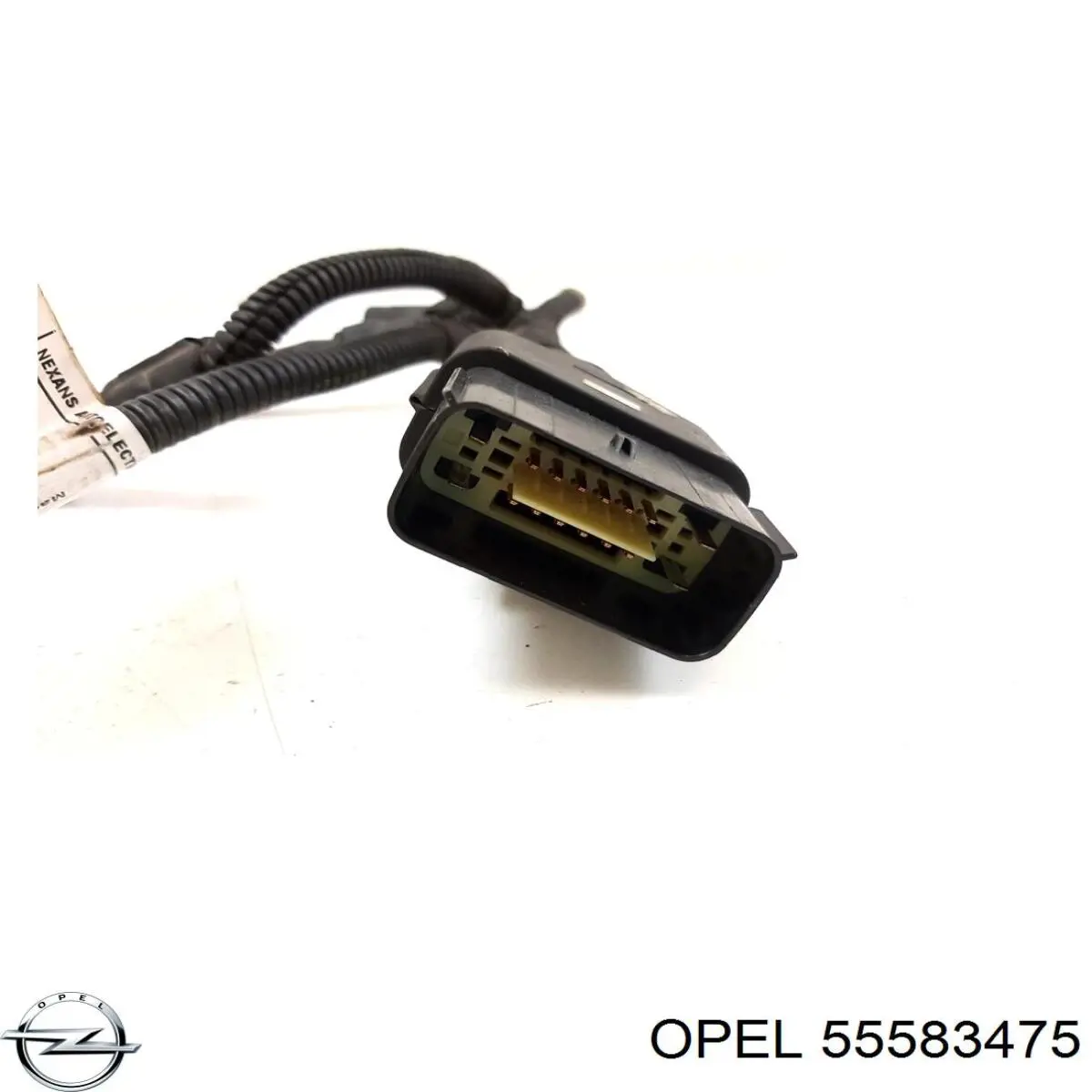 55583475 General Motors 