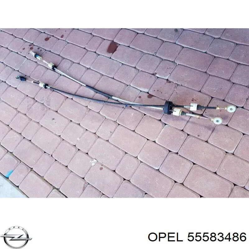 55583486 Opel 