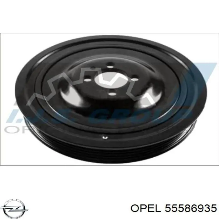 55586935 Opel Polia de cambota