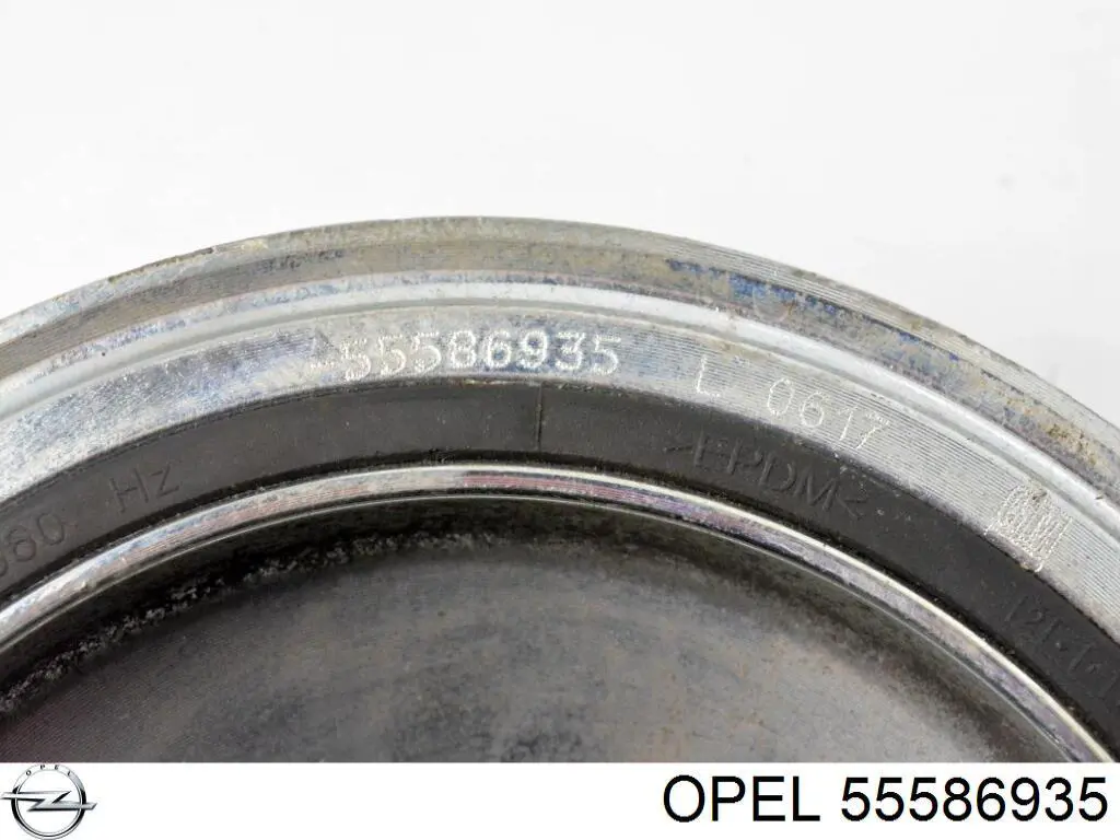 Compre 55586935 Opel Polia de cambota