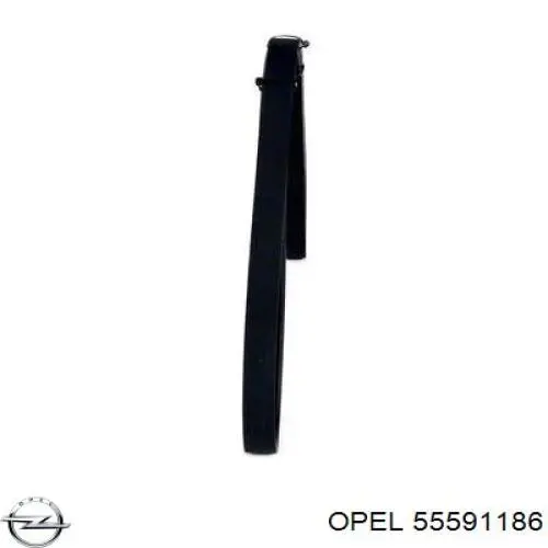 55591186 Opel correia dos conjuntos de transmissão, kit