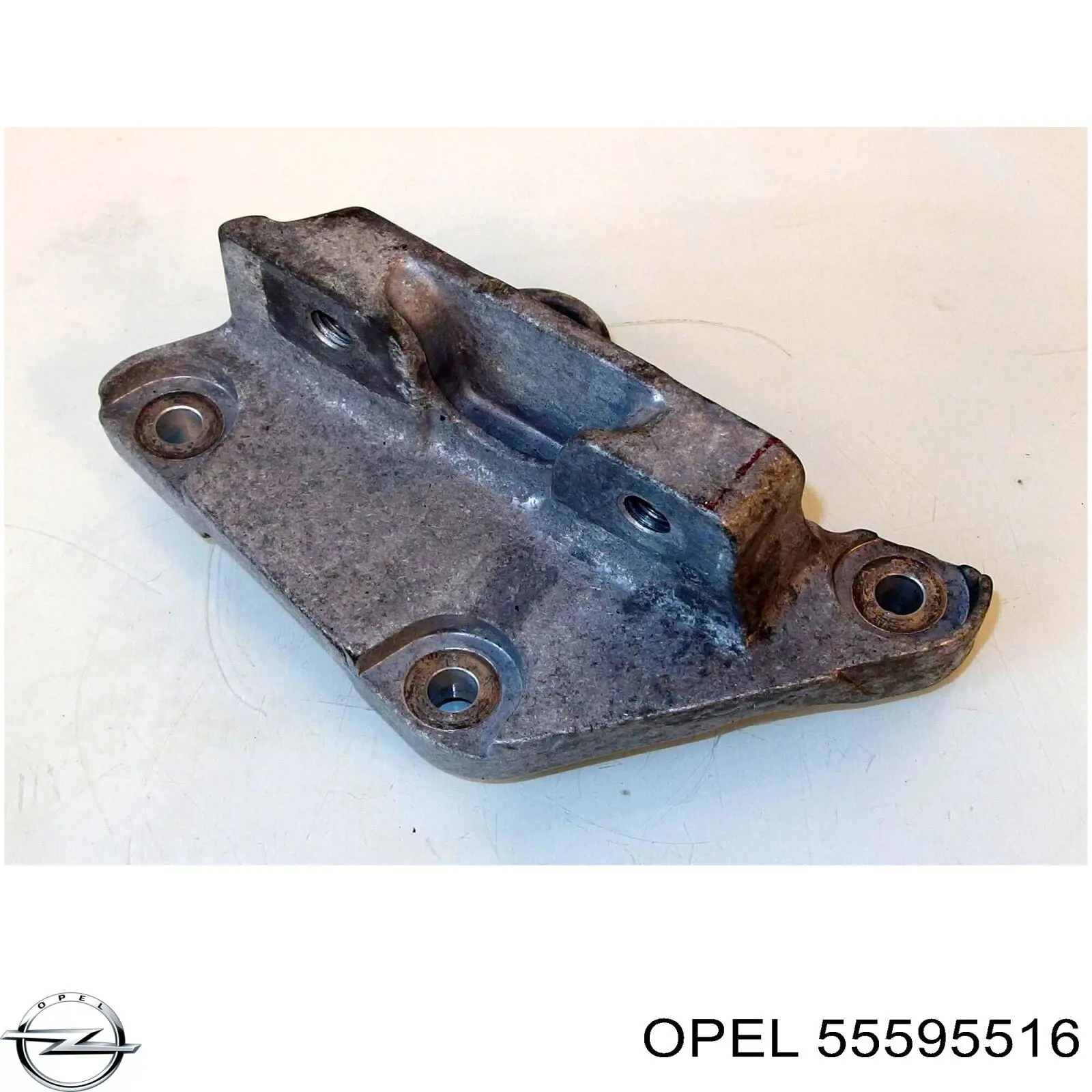 Катушка Opel 55595516