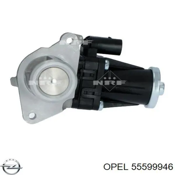 Купить 55599946 Opel Клапан EGR системы рециркуляции отработавших газов
