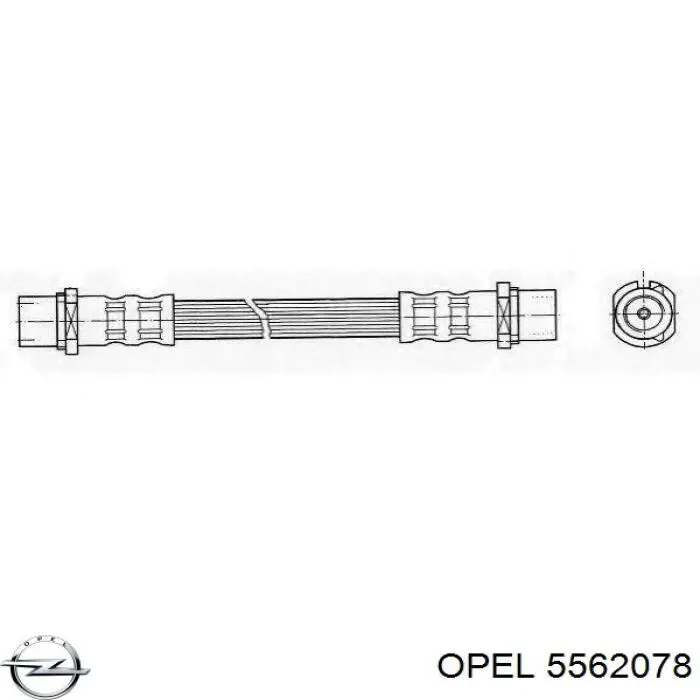 Задний тормозной шланг 5562078 Opel