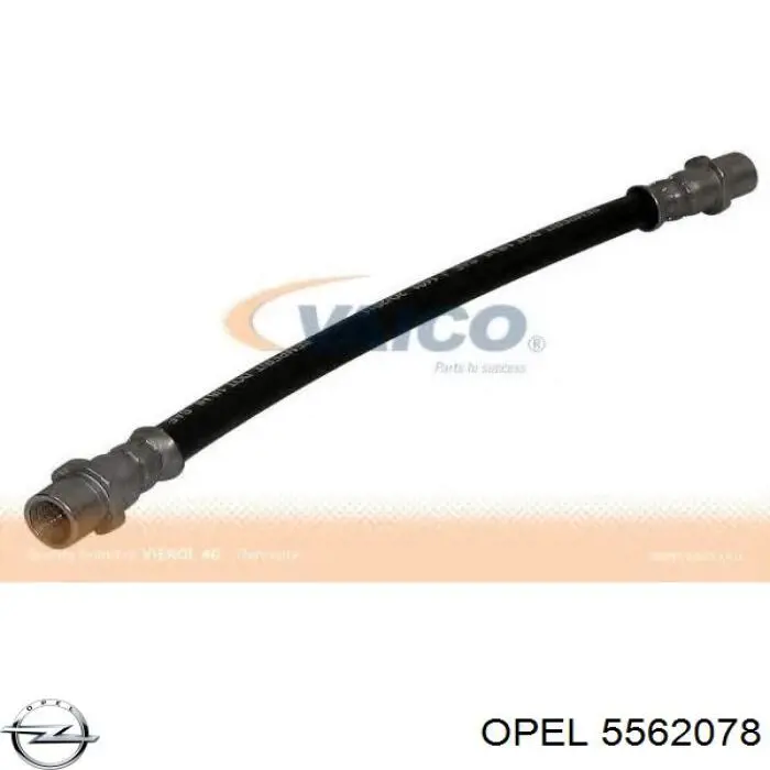 Купить 5562078 Opel Задний тормозной шланг