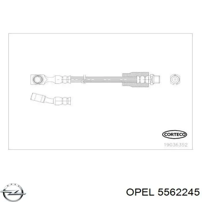 Шланг тормозной передний Opel 5562245 цена, от 7.55 USD