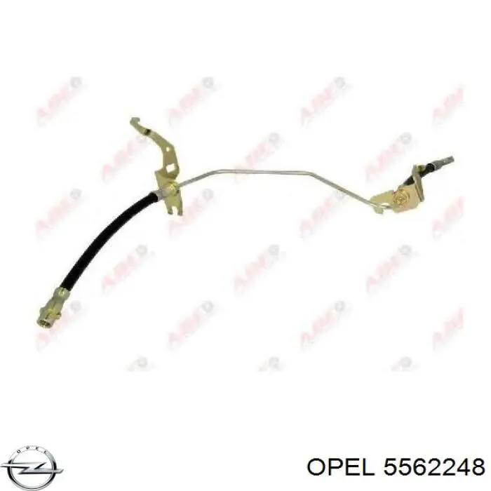 Купить 5562248 Opel Шланг тормозной задний правый